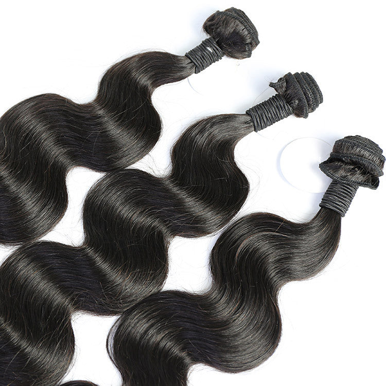 Virgin Brazilian Body Wave Wig - 100% Real Brazilian Hair, Dyeable and Heat-Resistant