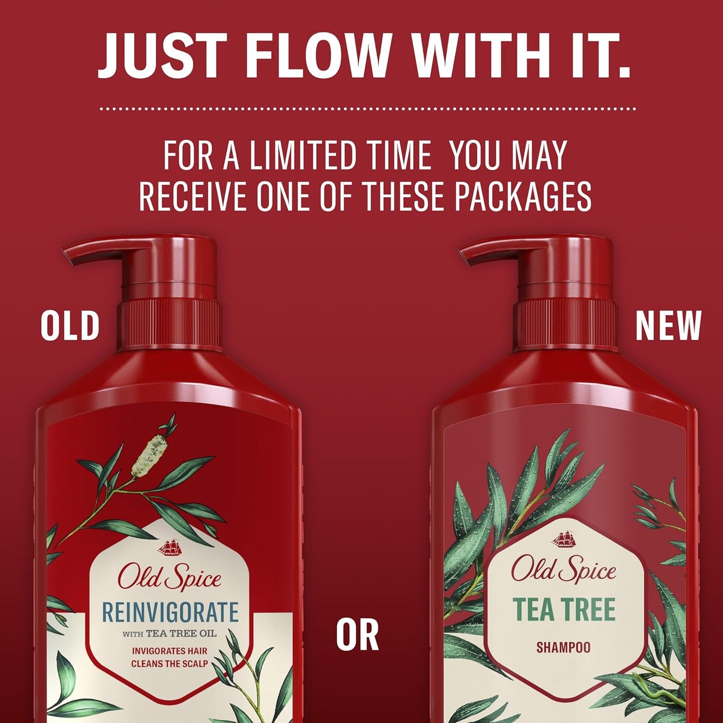 Old Spice Tea Tree Shampoo for Men, Cooling Shampoo - Twin Pack (21.9 Oz Each)