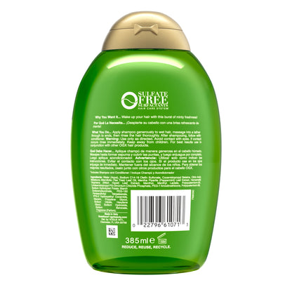 Extra Strength Teatree Mint Refreshing Scalp Shampoo