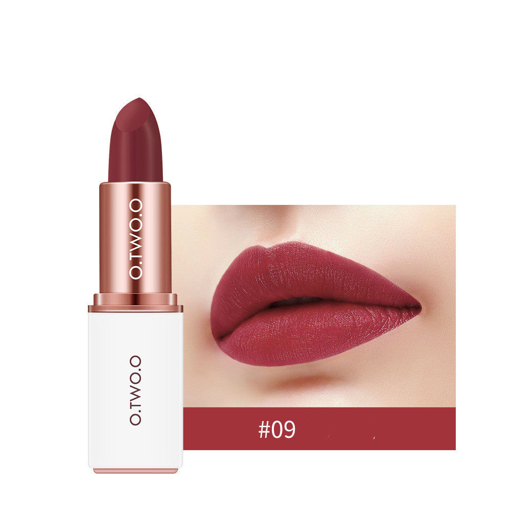 Velvet Matte Long-Lasting Lipstick – Shade 09 Dried Rose